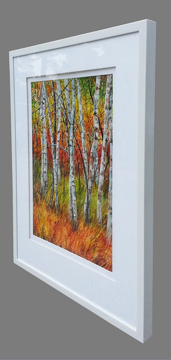 Vertical Birches by Anna Krajewski  framed